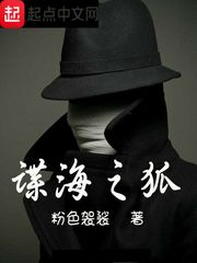 谍海之狐小说免费阅读