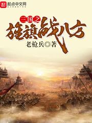 三国之旌旗战八方 老枪兵