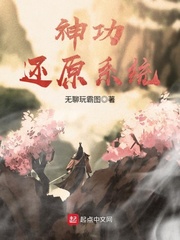 满级神功系统小说